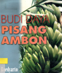 Budi daya pisang ambon