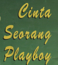 Cinta Seorang Playboy