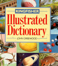 KINGFISHER : Ilustrated Dictionary