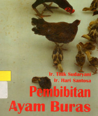 Pembibitan ayam buras