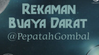 Rekaman Buaya Darat