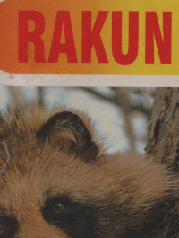 Seri Misteri Alam: Rakun