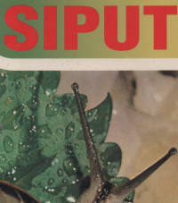 Seri Misteri Alam: Siput