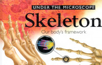 UNDER THE MICROSCOPE